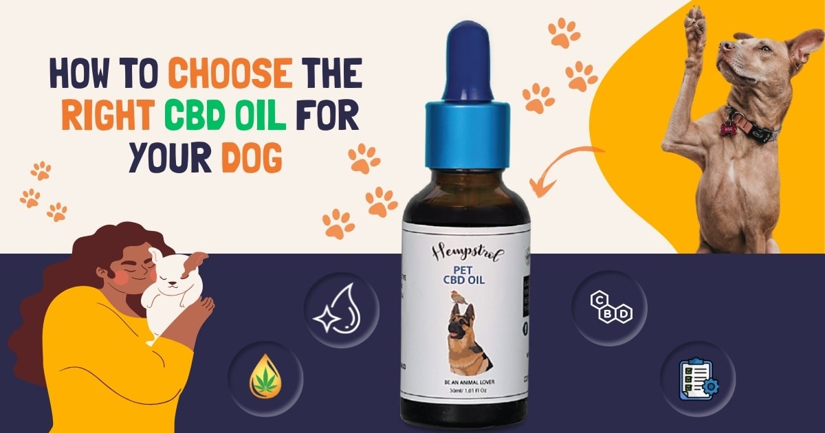 buy cbd oil for dogs